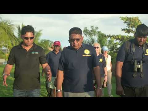 [TEMP] Coastal Protection by Mangroves