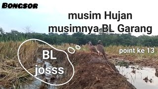 Download lagu ✅️👉 MUSIM HUJAN...MUSIMNYA BL GARANG || TEKUKUR PIKAT SI BONGSOR mp3