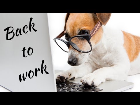 Real Estate Agents can go back to work on Monday, 1 June 2020 after lock down - Covid19