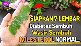 Download lagu Cukup 7 Lembar !! Sembuhkan Wasir,Kolesterol,Diabetes Dengan Cepat || Dodi Satria mp3