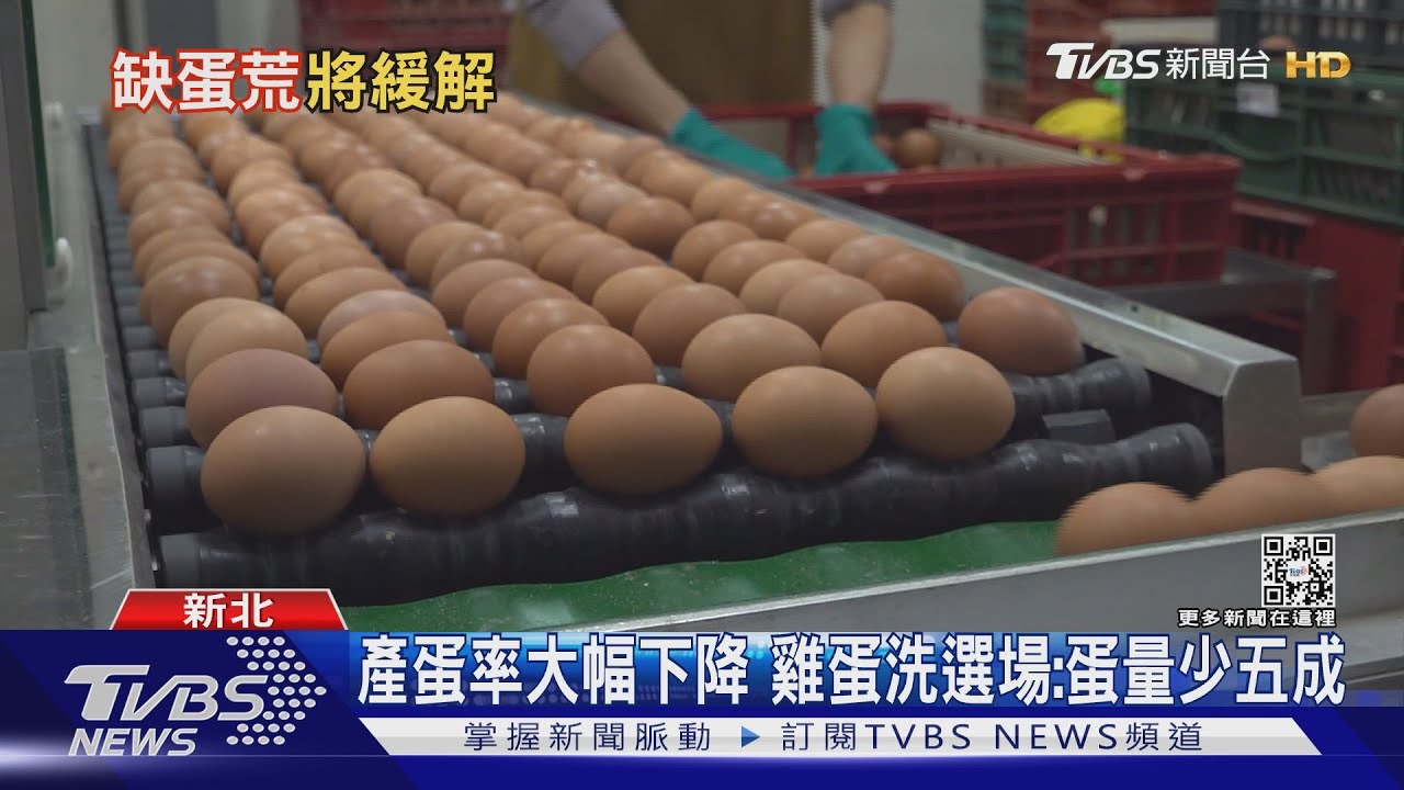 有片/缺蛋危機何時解? 專家:再等等「這個月」有望緩解