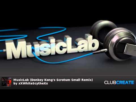 MusicLab (Donkey Kong's Scrotum Small Remix) by xXWhiteScytheXx