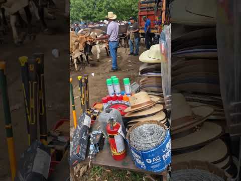 zona de emprendedores, tiangue de El Tránsito, San Miguel