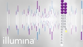 Illumina Sequencing by Synthesis