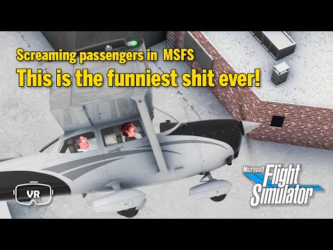 This is the funniest shit ever! - Screaming passengers in MSFS 2020