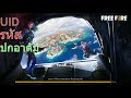 ฟีฟาย