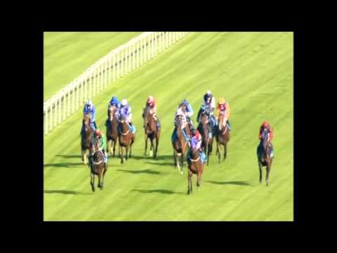 Sir Robert Cheval wins at Ascot - 2/10/15