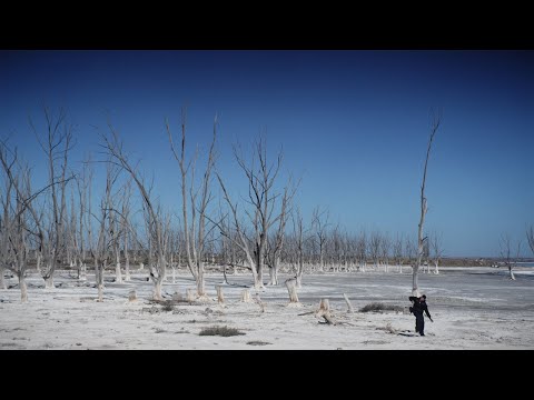 RONPE 99' - TAYLOR SHWIFT FT. ALVSO