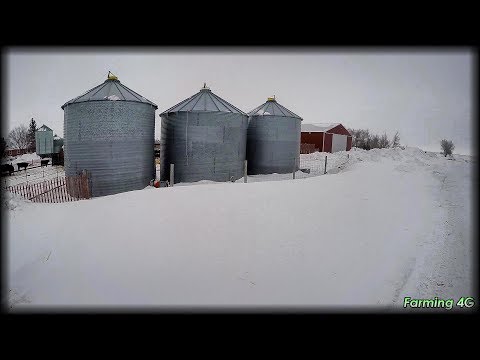 Why So Many Small Grain Bins?