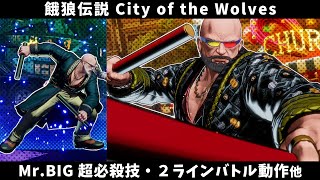 【餓狼CotW】Mr.BIG 超必殺技・2ラインバトル動作・カラーエディット用模様・特殊挑発他
