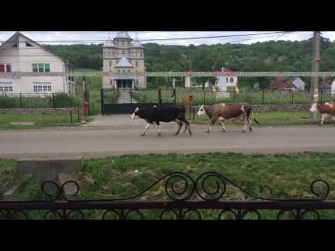 Another Baita Timelapse