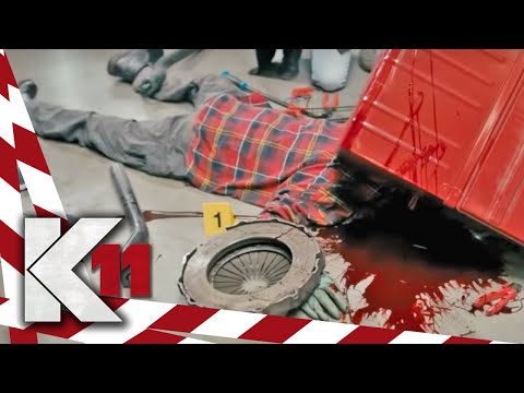 Geschockt vom Leichenfund: "Vom Kopf ist nicht mehr viel da!" | 1/2 | K11 - Die neuen Fälle | Sat.1