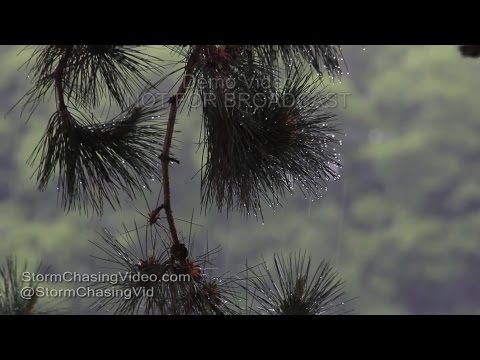 Rice Lake, WI Rain Showers - 5/31/2016
