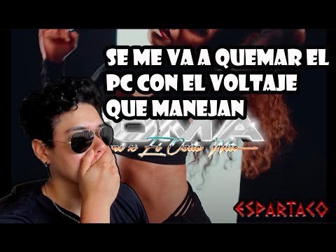 El voltaje esta descontrolado | Pvni, El Osito Wito - TOMA | ESPARTACO REACCIÓN