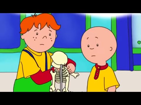 Caillou and the Broken Bones | Caillou Cartoon