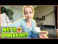 DiT iS DE REDEN DAT WE WEER NAAR OPWEKKiNG GAAN ? | Bellinga Vlog #2841