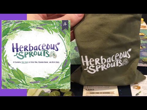 Boardgame Brody - Review - How to Play - Overview