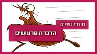 פרעושים בבית - מה לעשות?