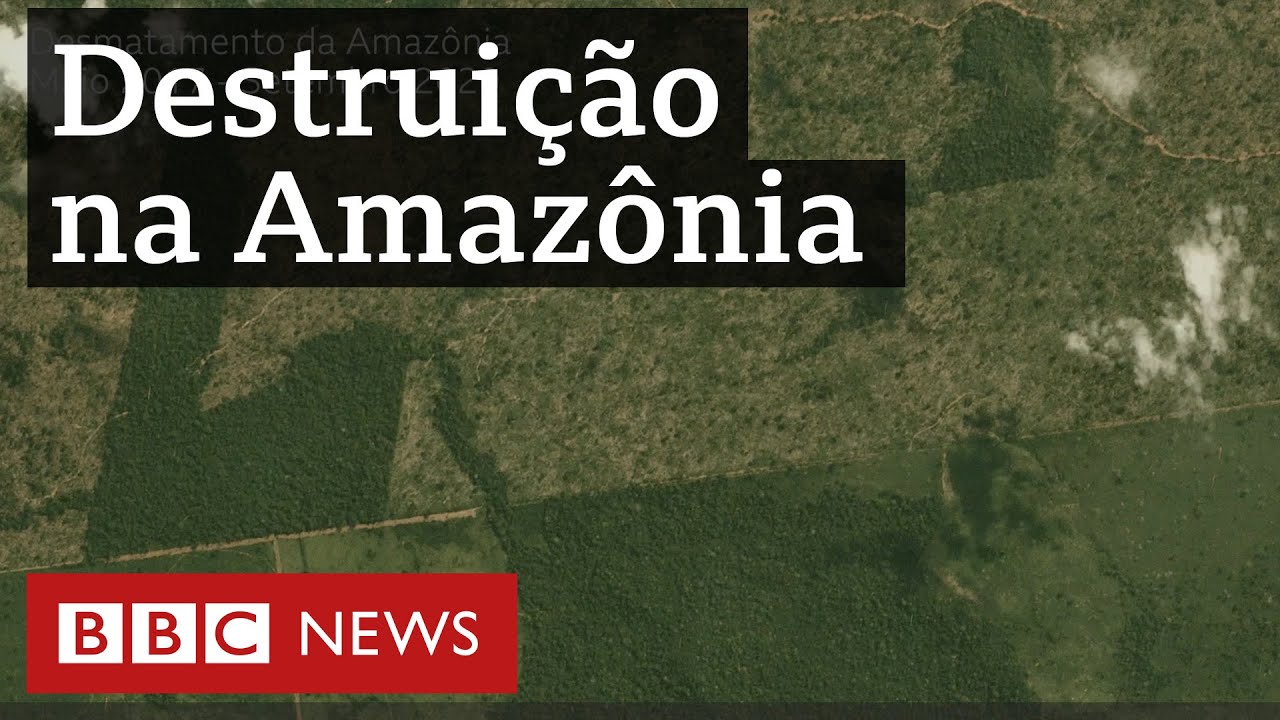 youtube video id=fCiD57p3p_A