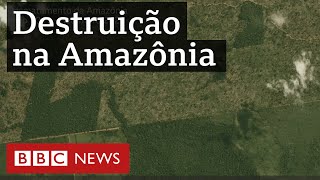 Miniatura do vídeo
