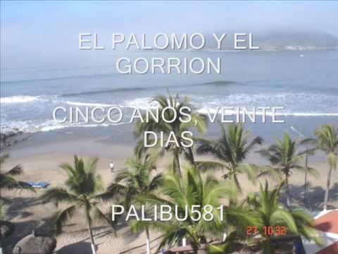 EL PALOMO Y EL GORRION-CINCO AÑOS VEINTE DIAS