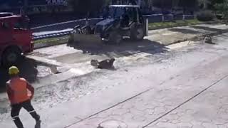 Akyazı'da yürekleri ağza getiren anlar; yolu kısaltmak isterken çukura düştü!