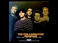 the for carnation - moonbeams