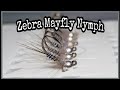 Zebra Mayfly Nymph