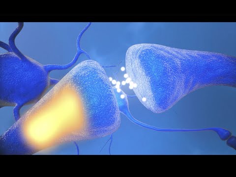 The Difference Between ECT & TMS Therapy | CNYTMS | SYRACUSE, NY