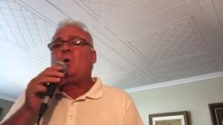 Qu&#39;ils s&#39;envolent (cover Serge Bergeron)