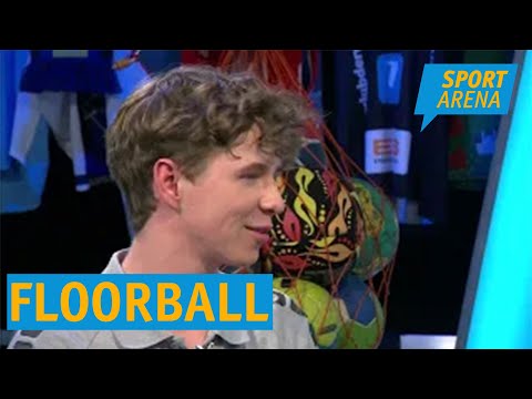 Floorball - FC Stern München ist in die 1. Bundesliga aufgestiegen.