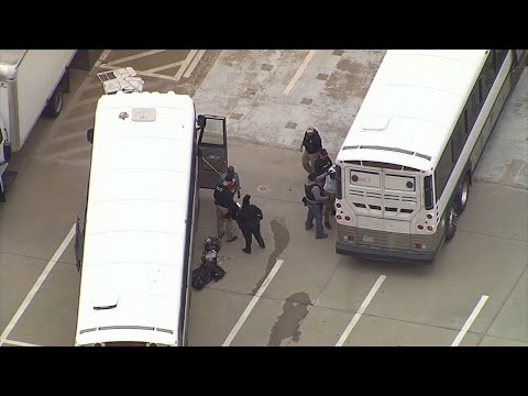 Immigration agents arrested 280 people at a North Texas technology company on Wednesday. Federal officials say CVE Technology Group knowingly hired people not authorized to work in the U.S. (April 4)