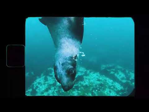 Margareta Paslaru   Mama