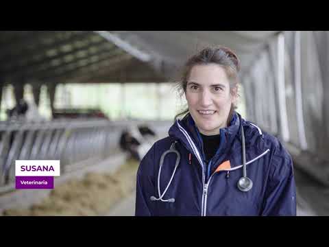 8M TODAS FACEMOS VILALBA Tecelás pola Igualdade