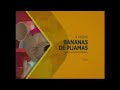 1 Sec Closing Of Tinga Tinga Tales And Beginning Of Bananas In Pyjamas TV Cultura PA July 22