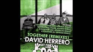 David Herrero - Together (Vlada Asanin Remix) [GFM031]