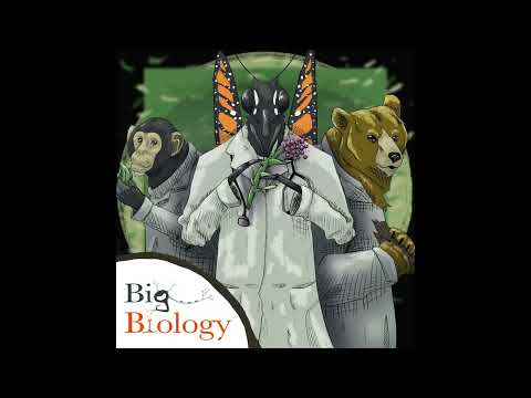 Doctors by Nature (Ep 142)