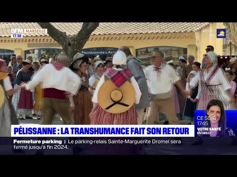 Pélissanne : la transhumance fait son retour