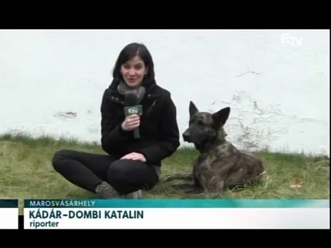 Híradó 2016. február 10. – Erdélyi Magyar Televízió