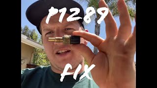 Ford F-150 P1289 fix