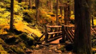 die Rose - Song by Helene Fischer.wmv