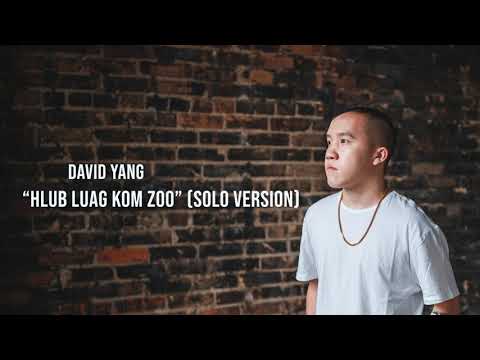 Hlub Luag Kom Zoo - David Yang (SOLO VERSION)