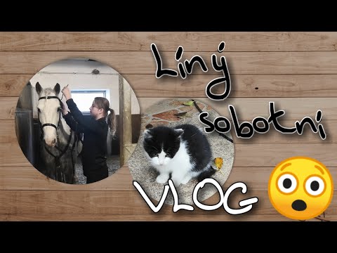 Našli jsme kotě? | Gedík má nového jezdce!