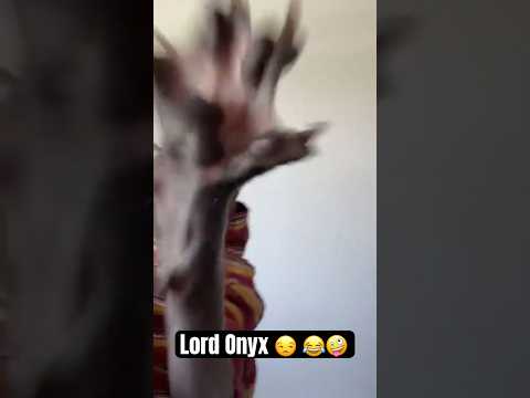 Slap - Cats Guts Everywhere - Misc Originals