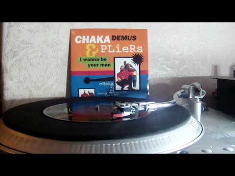 Chaka Demus & Pliers - I Wanna Be Your Man (Mango 1994).