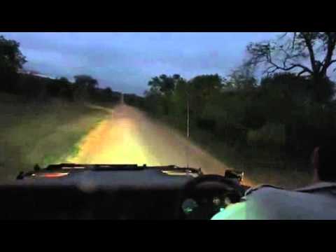 Jan 28 WildEarth Sunrise SafariLIVE Introducing Neil