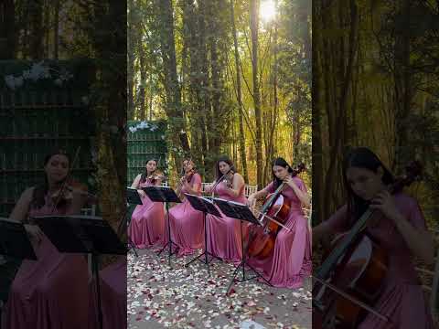 Liberta Quartet