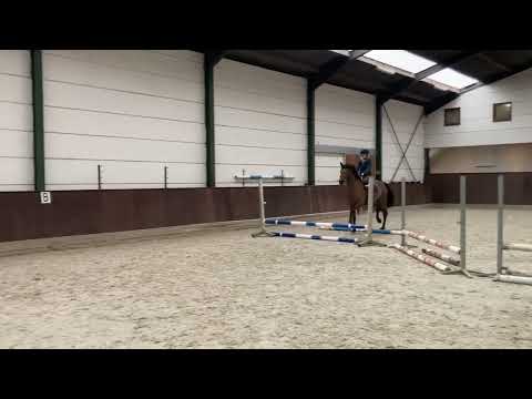 Hallofax: SCUDERIA 1918 HALIFAX VAN HET KLUIZEBOS x CLINTON