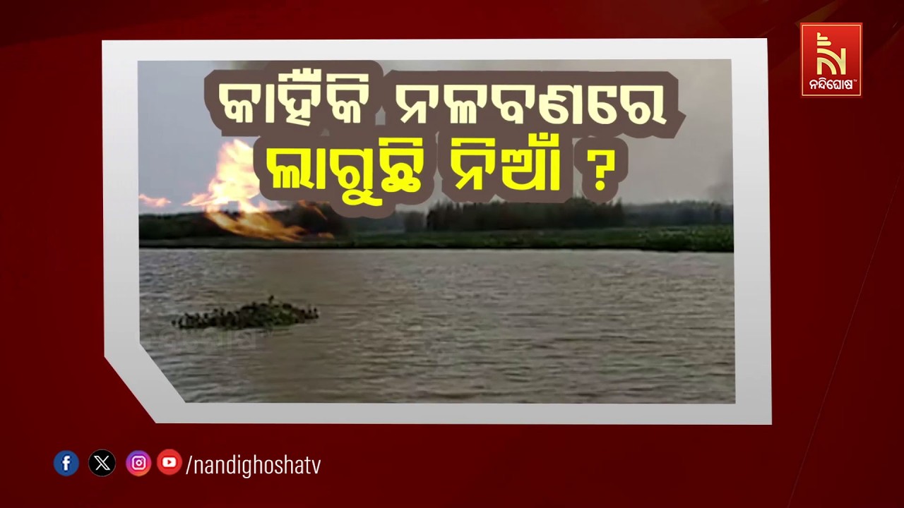 କାହିଁକି ନଳବଣରେ ଲାଗୁଛି ନିଆଁ