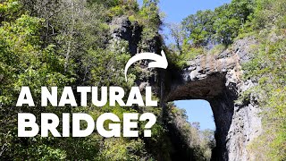 Shenandoah Valley Hiking Guide